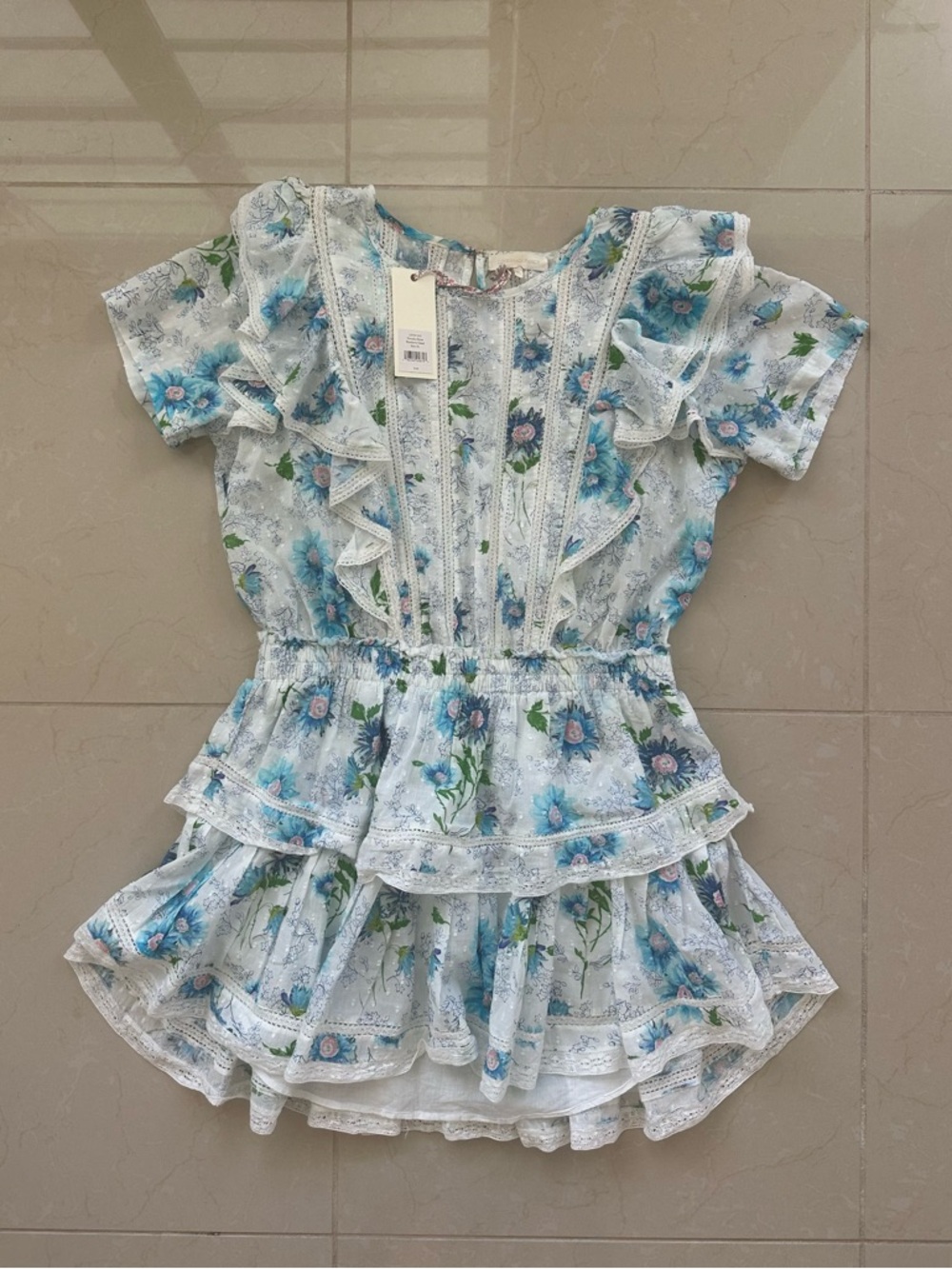 FOR LIZ - NWT LoveShackFancy Natasha Floral Mini Dress in Blueberry Cloud(XL) - Picture 5 of 5
